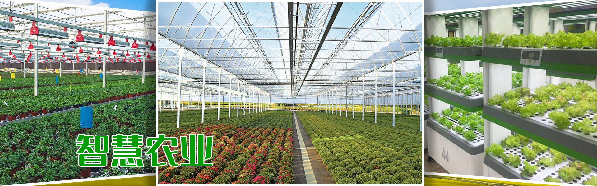 組培、組培架